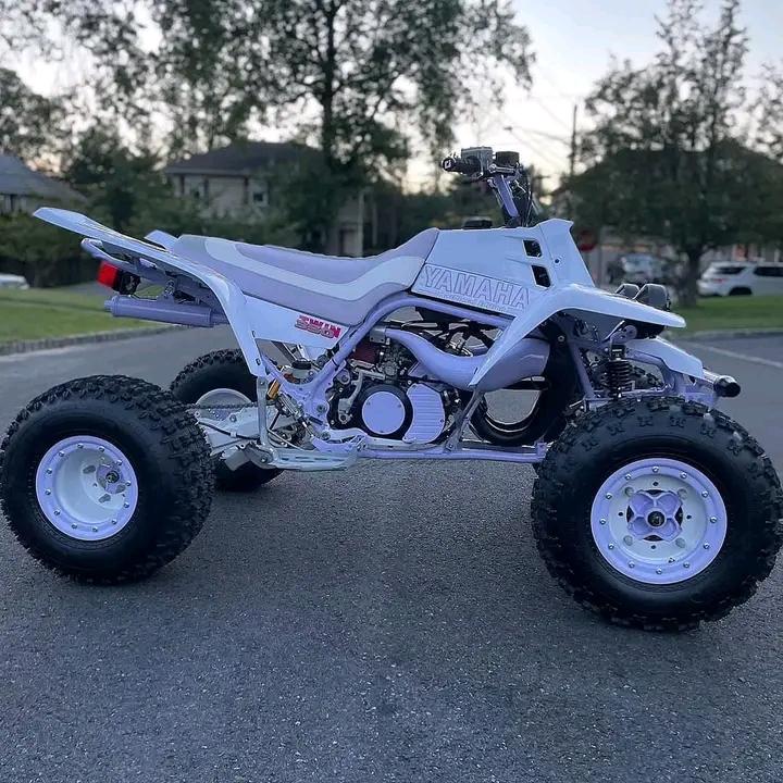 Yamaha Banshee 1
